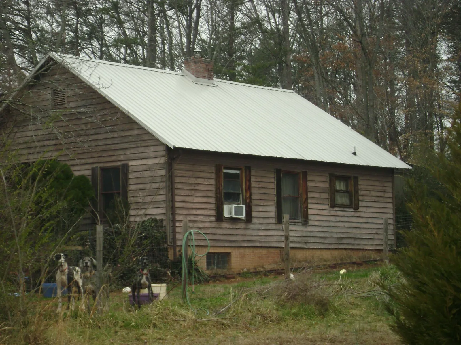White metal roof on an old wood sided farmhouse, from a Asphalt Shingle Roof Repair job in Maysville
